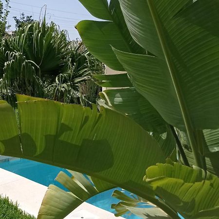 El Vaiven Apartment เอลปูแอร์โต เด ซานตามาริอา ภายนอก รูปภาพ