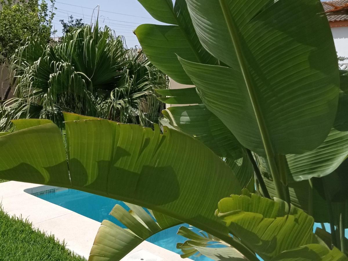 El Vaiven Apartment เอลปูแอร์โต เด ซานตามาริอา ภายนอก รูปภาพ